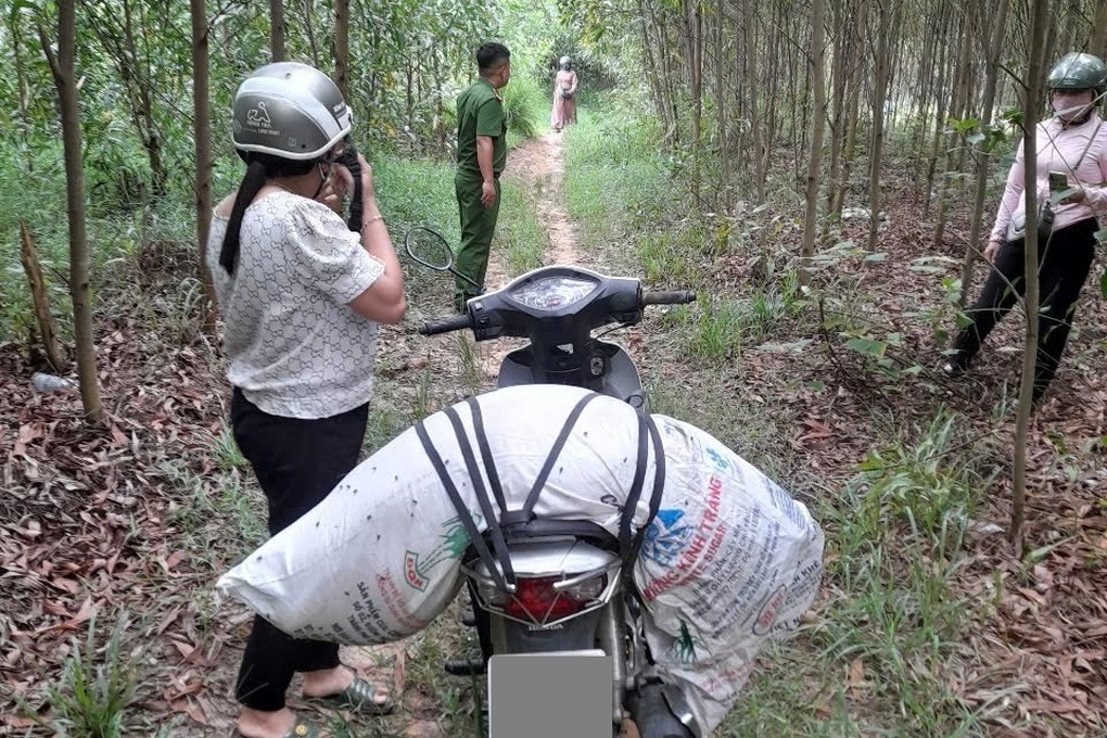 Tin tức 1