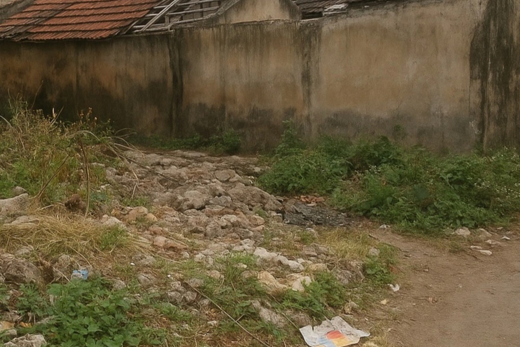 Tin tức 1